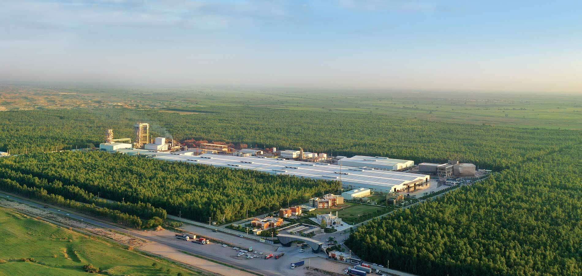 Pakchoob factory
